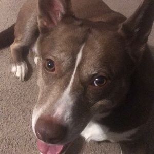 Meet your Posher, Ben